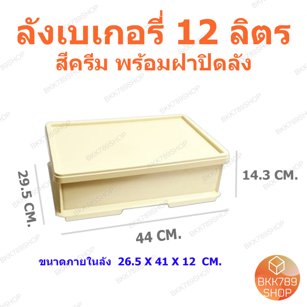 bkk789shop-ลังเบเกอรี่-กล่องใส่โดนัท-กล่องขนมปัง-กล่องคุกกี้-กล่องเค้ก-กล่องขนมเปี๊ยะ-กล่องใส่บราวนี่-ลังพลาสติกพร้อมฝา