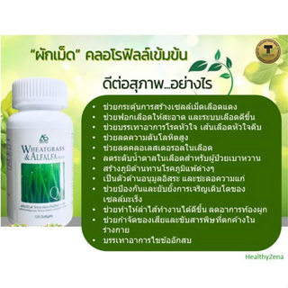 ภาพขนาดย่อของภาพหน้าปกสินค้าผักเม็ด Wheatgrass & Alfalfa Plus ผลิตภัณฑ์เสริมอาหารแอมสตรอง วิทกราส อัลฟัลฟ่า พลัส และโคเอ็นไซม์ คิวเทน,คลอโรฟิลล์ จากร้าน healthyzena9 บน Shopee ภาพที่ 2