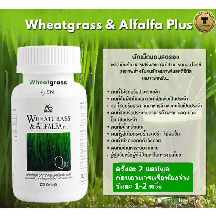 ภาพสินค้าผักเม็ด Wheatgrass & Alfalfa Plus ผลิตภัณฑ์เสริมอาหารแอมสตรอง วิทกราส อัลฟัลฟ่า พลัส และโคเอ็นไซม์ คิวเทน,คลอโรฟิลล์ จากร้าน healthyzena9 บน Shopee ภาพที่ 4