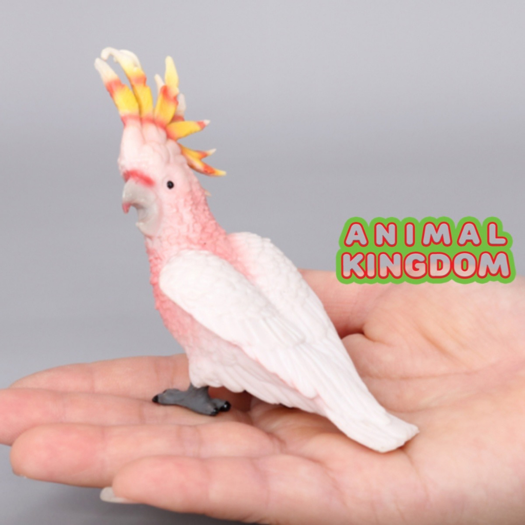 animal-kingdom-โมเดลสัตว์-นกกระตั้ว-ขนาด-11-00-cm-จากสงขลา