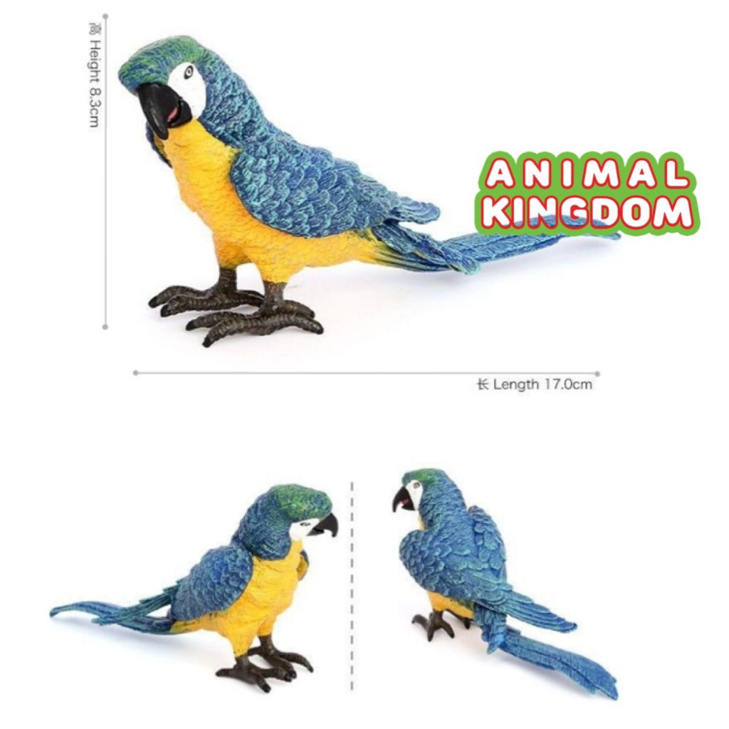 animal-kingdom-โมเดลสัตว์-นกแก้ว-ฟ้าเหลือง-ขนาด-17-00-cm-จากหาดใหญ่