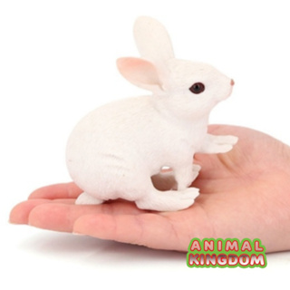 Animal Kingdom - โมเดลสัตว์ กระต่าย ขาว ขนาด 11.00 CM (จากหาดใหญ่)
