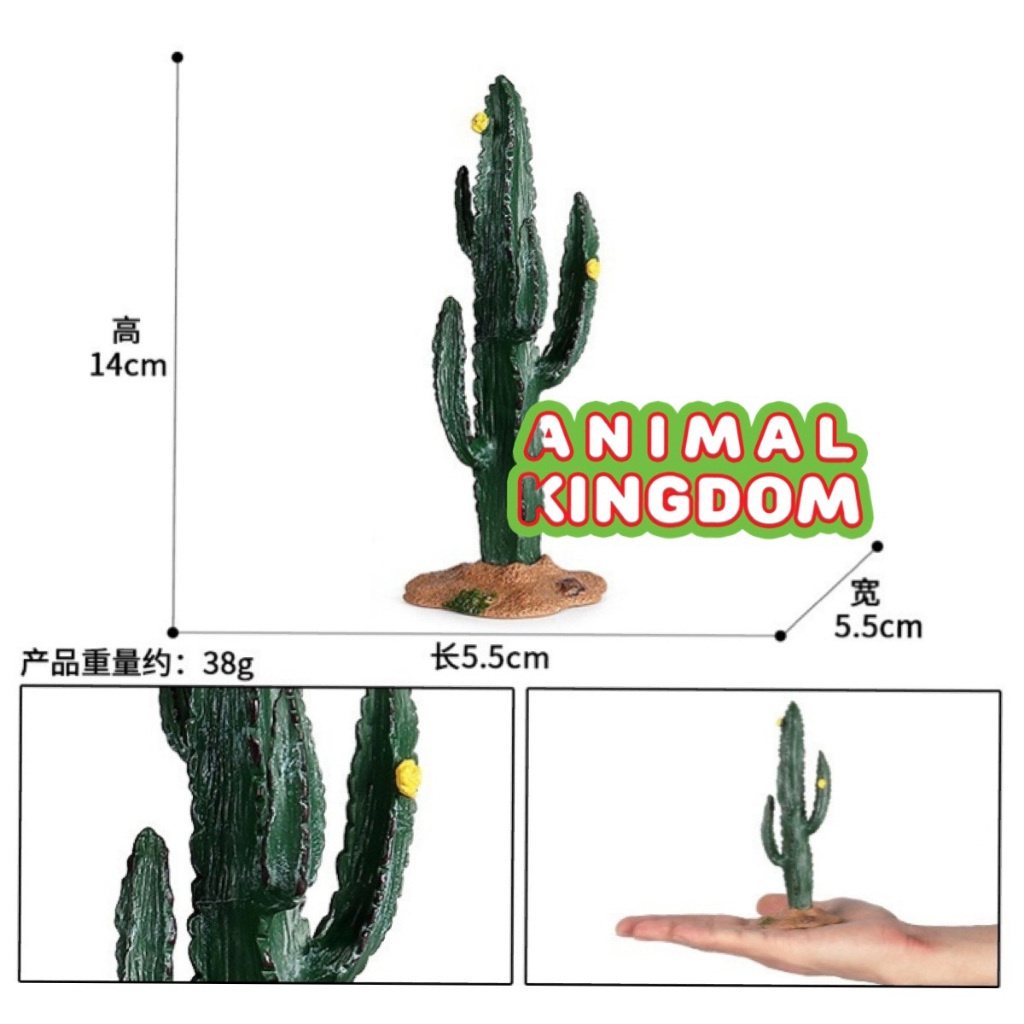 animal-kingdom-โมเดล-ต้นไม้-ต้นตะบองเพชร-ขนาด-14-00-cm-จากหาดใหญ่