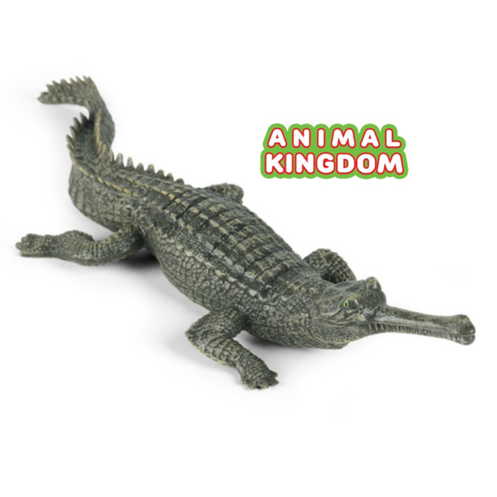 animal-kingdom-โมเดลสัตว์-ตะโขง-เขียว-ขนาด-21-00-cm-จากหาดใหญ่