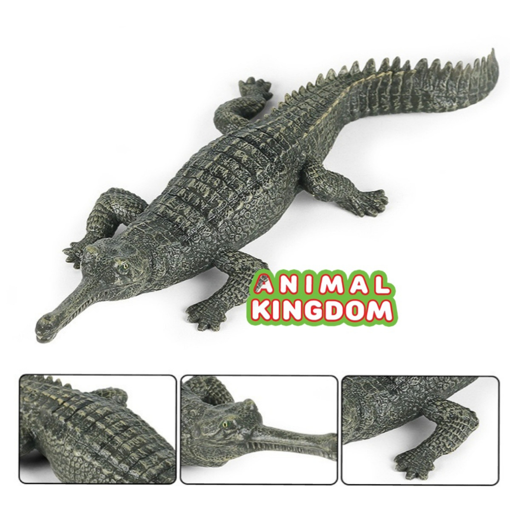 animal-kingdom-โมเดลสัตว์-ตะโขง-เขียว-ขนาด-21-00-cm-จากหาดใหญ่