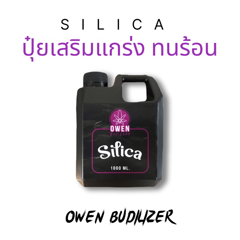 silica-ซิลิก้า-เสริมแกร่ง-เพิ่มผลผลิต-พืชทนร้อน-ทนน้ำค้าง-เชื้อราเจาะไม่เข้า-แมลงฟันหัก-ลำต้นหนา-กิ่งใหญ่-เป็น-ph-up