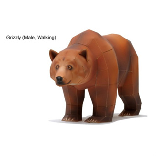 โมเดลกระดาษ 3D : หมีกริซลีกำลังเดิน กระดาษโฟโต้เนื้อด้าน  กันละอองน้ำ ขนาด A4 220g.
