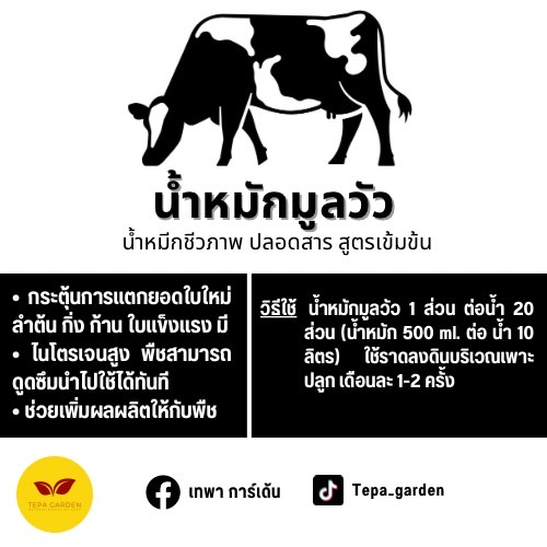 น้ำหมักมูลวัว-น้ำหมักชีวภาพมูลวัว-ไนโตรเจนสูง-สูตรเข้มข้น