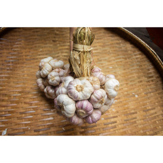 กระเทียมไทยกลีบม่วงศรีสะเกษ 500 กรัม ครึ่งกิโลกรัม คัดพิเศษThai Garlic : 500 -1000g