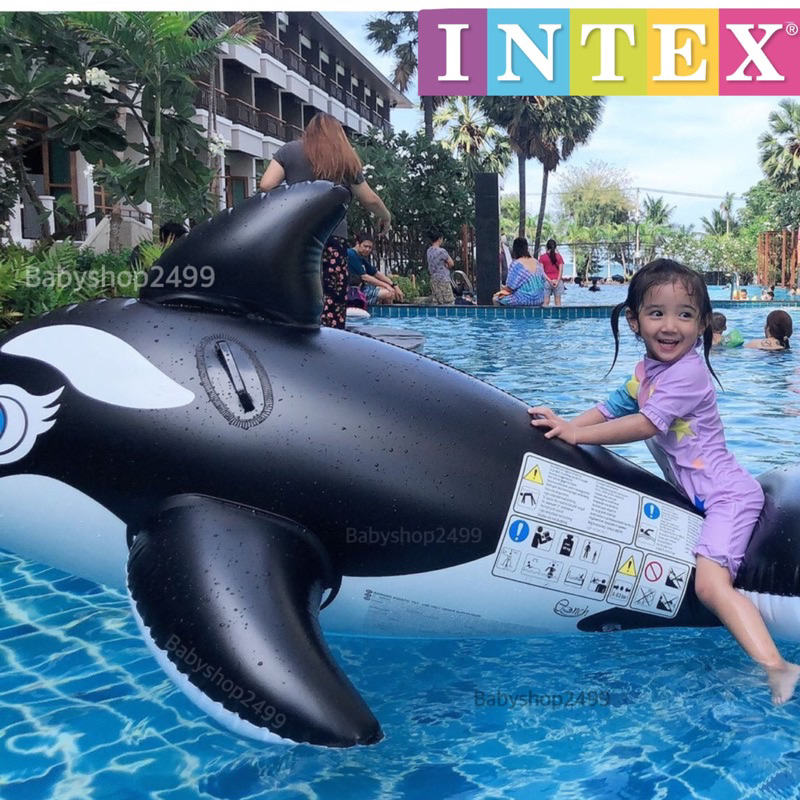 intex-แพยางเป่าลม-วาฬดำ-วาฬฟ้า