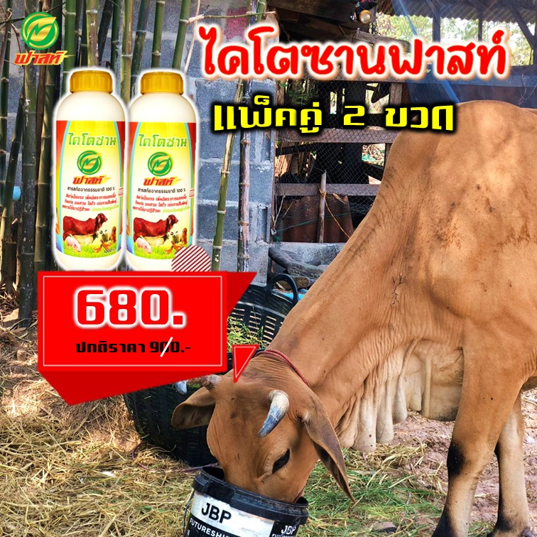 ฟาสท์-ไคโตซานฝาสีเหลือง-โตไว-สมบูรณ์