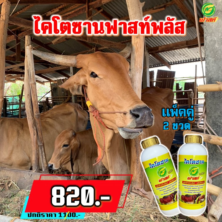 ไคโตซานฟาสท์พลัส-ฝาสีทอง-ไคโตซานสัตว์-ผสมติดง่าย