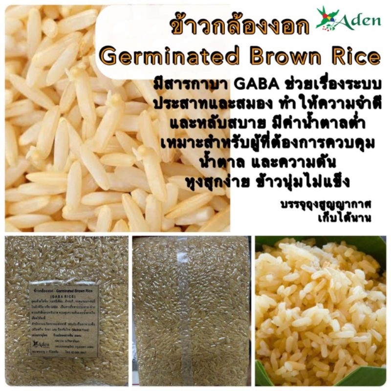 ข้าวกล้องงอก Germinated Brown Rice | Shopee Thailand