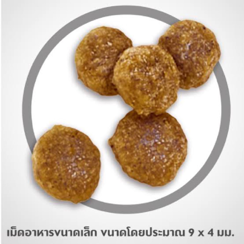 hill-s-science-diet-adult-small-bites-อาหารสุนัข-อายุ-1-6-ปี-ขนาดเม็ดเล็ก-ขนาด-2-กก