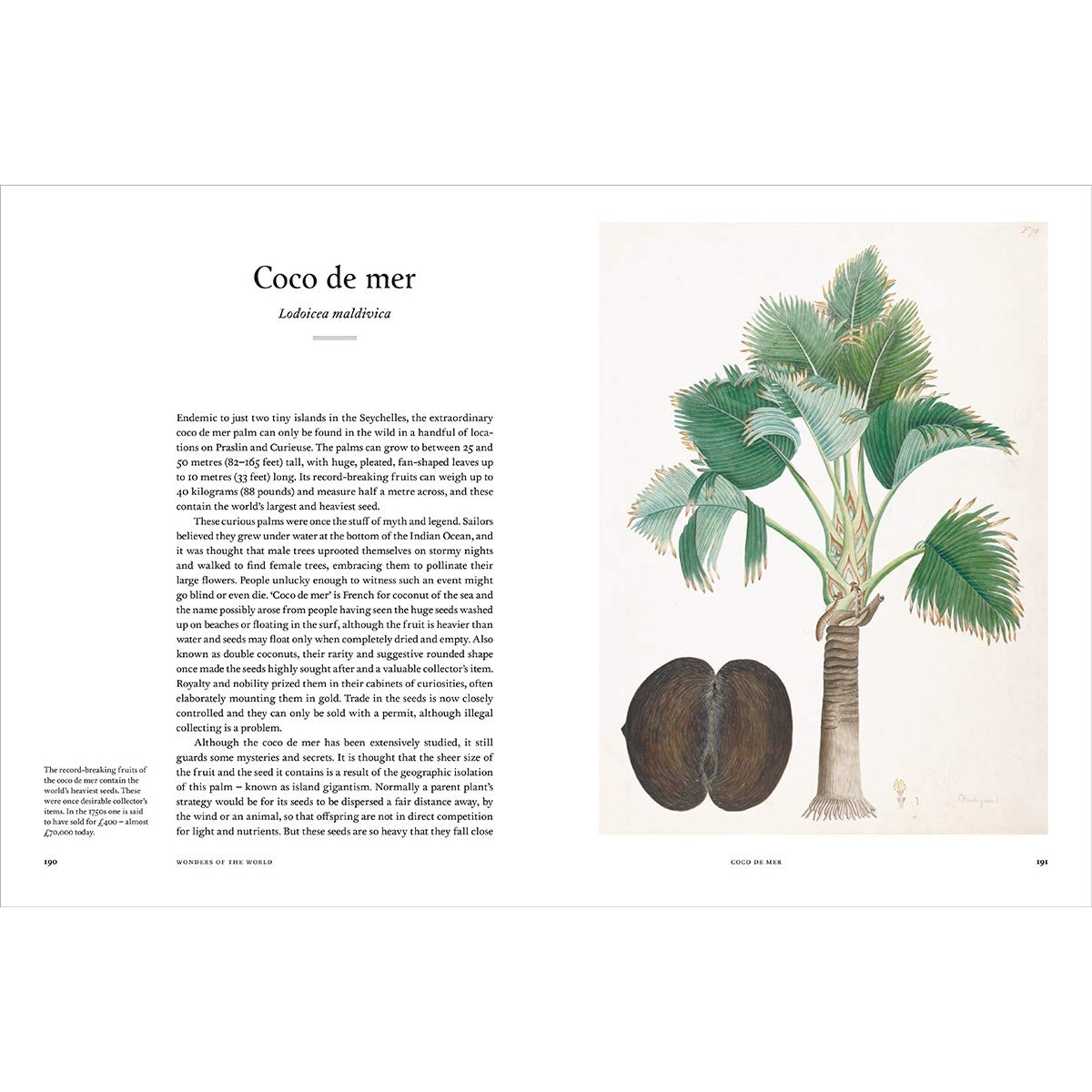 remarkable-trees-royal-botanic-gardens-hardback