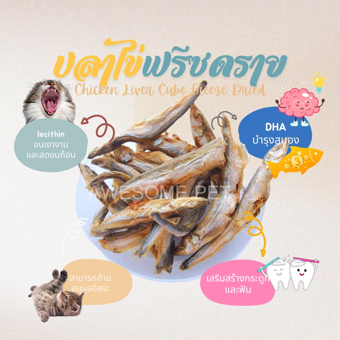 ปลาไข่ฟรีซดราย-ปลาไข่-ขนมสัตว์เลี้ยง-capelin-fish-freeze-dried