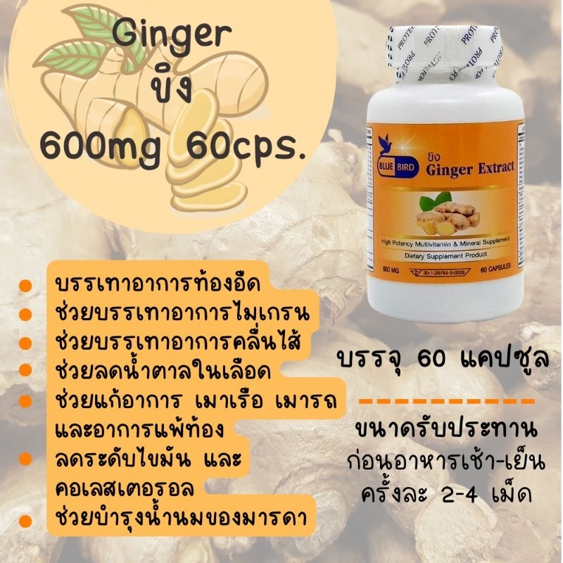 ขิง-ginger-ตรา-บลูเบิร์ด-ขนาด-600-มิลลิกรัม-60-แคปซูล