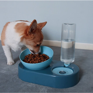 「27Pets」ชามใส่อาหารอัตโนมัติ สําหรับสัตว์เลี้ยง สุนัข แมว