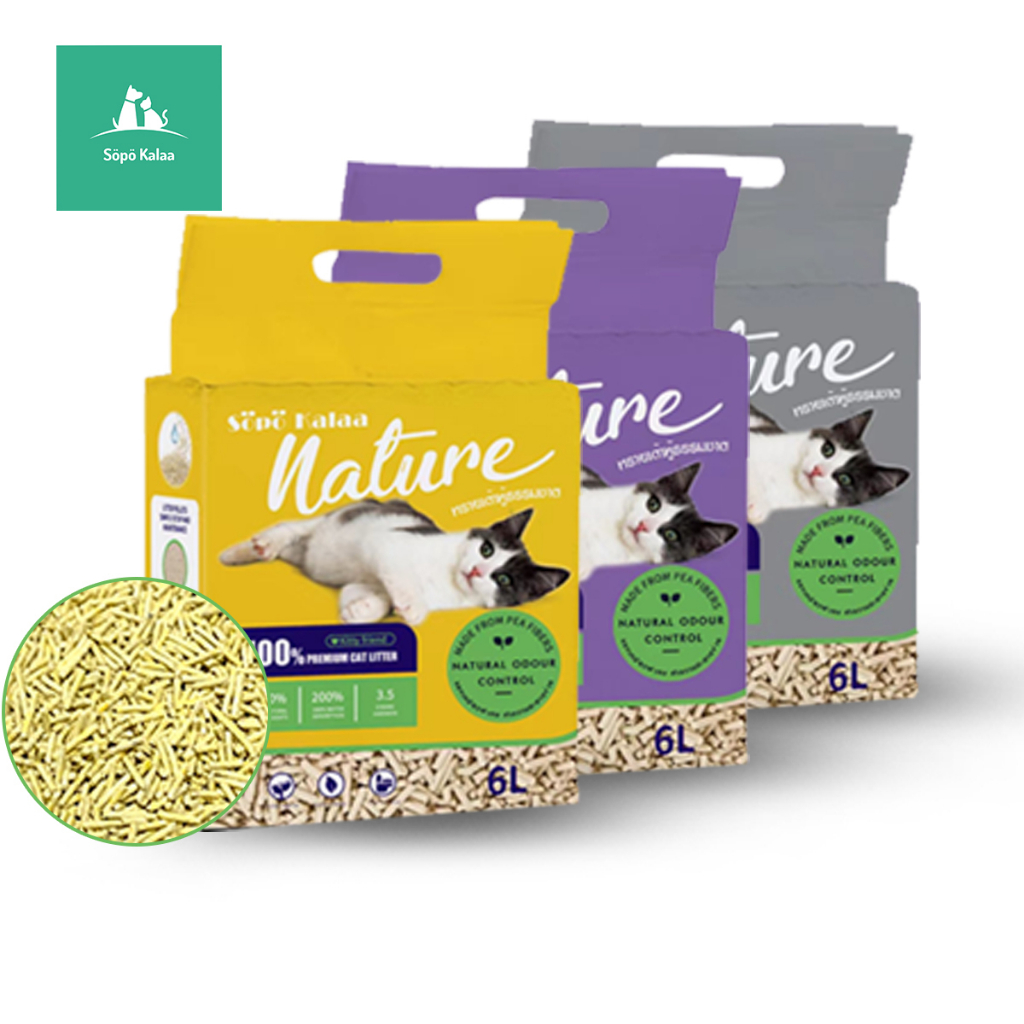 ทรายเต้าหู้ ออร์แกนิค100% ผลิตจากกากถั่วเหลืองธรรมชาติ ทรายแมว Cat Litter ทรายแมวเต้าหู้ (6 ลิตร) รูปที่ 2