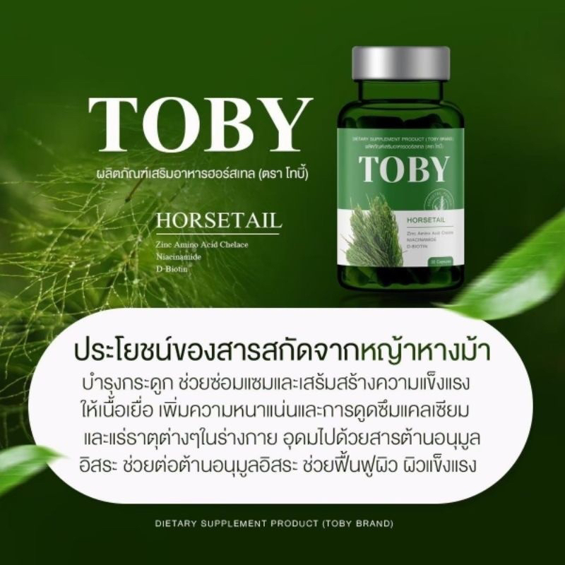 พร้อมส่ง-ส่งฟรี-ของแท้-โทบี้-หางม้า-toby-horsetail-ลดผมร่วง-กระตุ้นการเกิดผมใหม่-ผมหนา-ผมเงางาม-ผมดก-ลดหัวล้าน