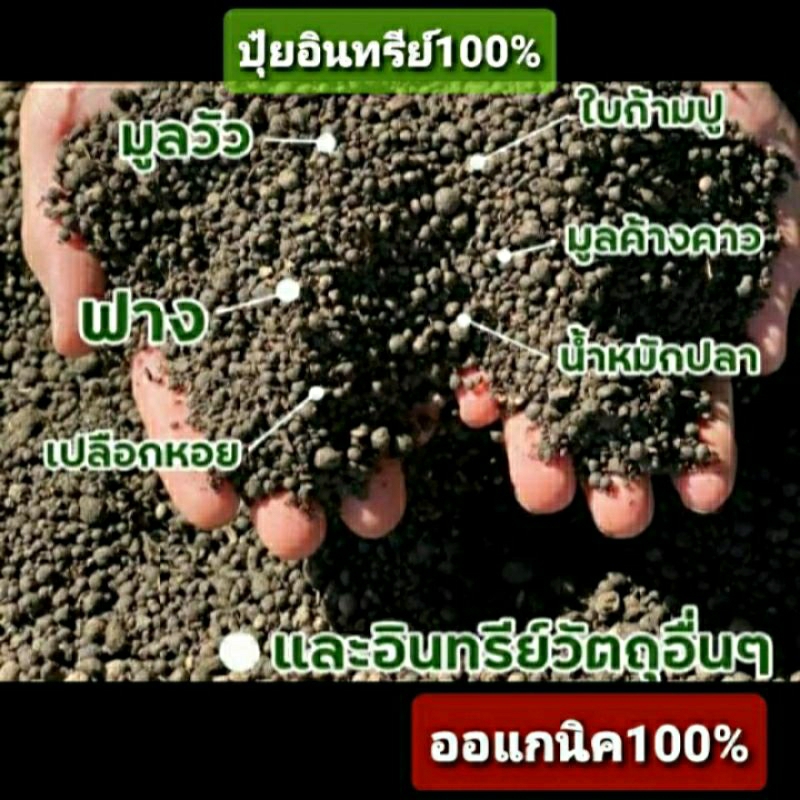 ปุ๋ยอินทรีย์-100-ปุ๋ยออร์แกนิค-สูตร-บำรุงต้น-ผล-ใบ-ราก-1kg