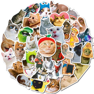 สติ๊กเกอร์ น้องแมวน่ารัก 549 น้องแมว 50ชิ้น น้องน่ารักมาก น้อง แมว น่ารัก cat น้อน แมว เหมียว แมวส้ม รูป เท้าแมว แ ม ว