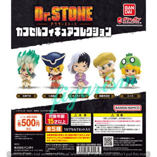 🔥 Dr.Stone Capsule Figure Collection ดร.สโตน Gashapon กาชาปอง 🔥 ของแท้ ญี่ปุ่น💯