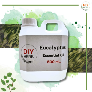 หัวน้ำหอมแท้ กลิ่นยูคาลิปตัส Eucalyptus Essential Oil 500 ml. เกรดพรีเมียม ทำเครื่องหอม เครื่องสำอางค์ Lotion , cream