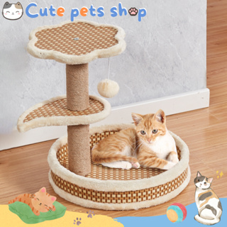 คอนโดแมวราคาถูก คอนโดแมว คอนโดแมวติดผนัง บ้านแมว เสาลับเล็บแมว ที่นอนแมว cat tree condo house ลดราคา ของเล่นแมว เตียงแมว