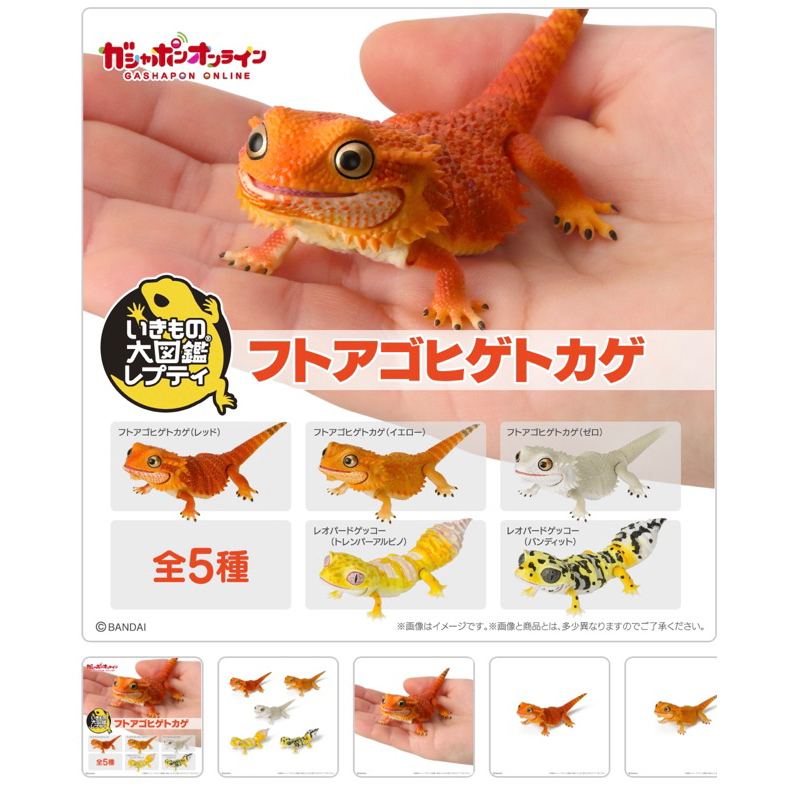 gashapon-กาชาปองญี่ปุ่นแท้-ตัวเบี๊ยดดราก้อน-bearded-dragon