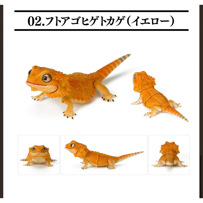 gashapon-กาชาปองญี่ปุ่นแท้-ตัวเบี๊ยดดราก้อน-bearded-dragon