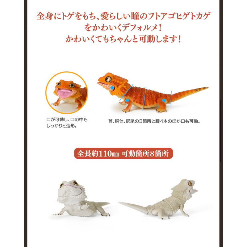 gashapon-กาชาปองญี่ปุ่นแท้-ตัวเบี๊ยดดราก้อน-bearded-dragon