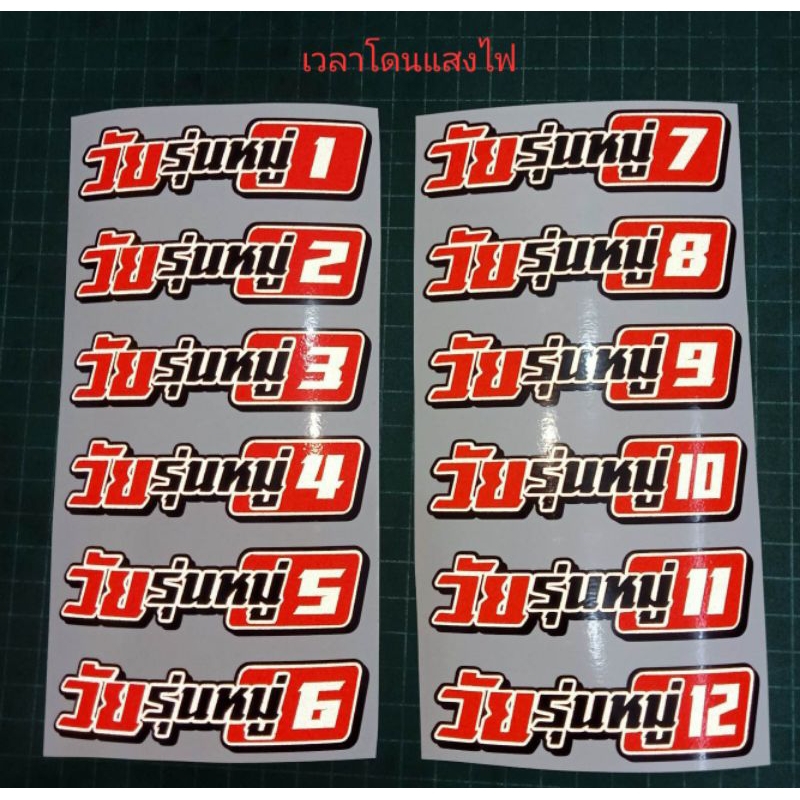 สติ๊กเกอร์ติดรถ-วัยรุ่นหมู่-1-12