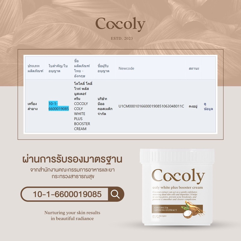 coly-white-plus-booster-cream-cocoly-โคลี่ไวท์พลัสบูสเตอร์ครีม