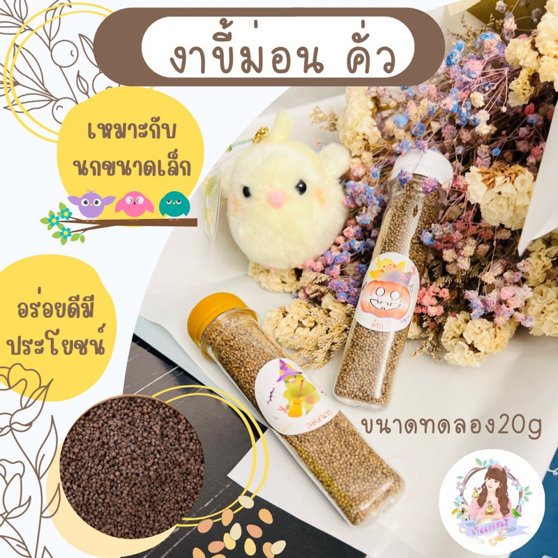 งาขี่ม่อน-คั่ว-สำหรับนก-ขนาดจิ๋วทดลอง20-g