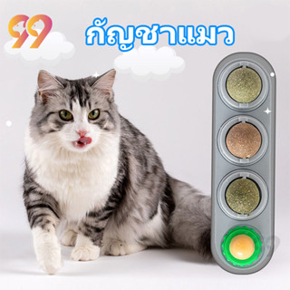 99PET กัญชาแมว ของเล่นแมว หญ้าแมว แคทนิปแมว catnip หญ้าแมว ของเล่นแมวเลีย ติดกำแพง หลากหลายรสชาติ