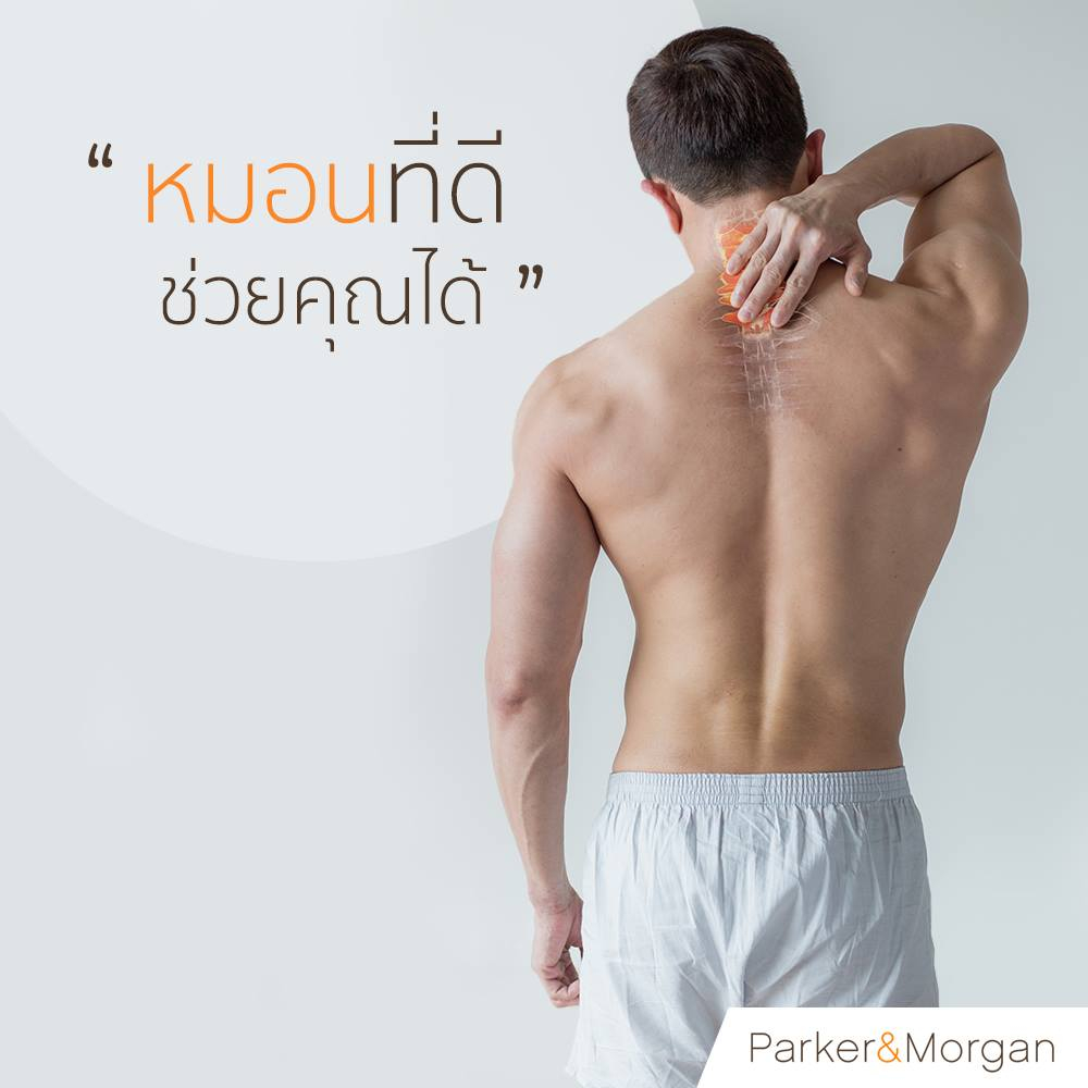 Parker&Morgan รุ่น เวอร์มองต์ SOFT 50/50 หมอนขนเป็ดแท้ ขนาดควีน มอบสัมผัสที่นุ่มเบาเป็นพิเศษ เหมาะสำหรับผู้ที่ชื่นชอบการนอนหมอนต่ำ