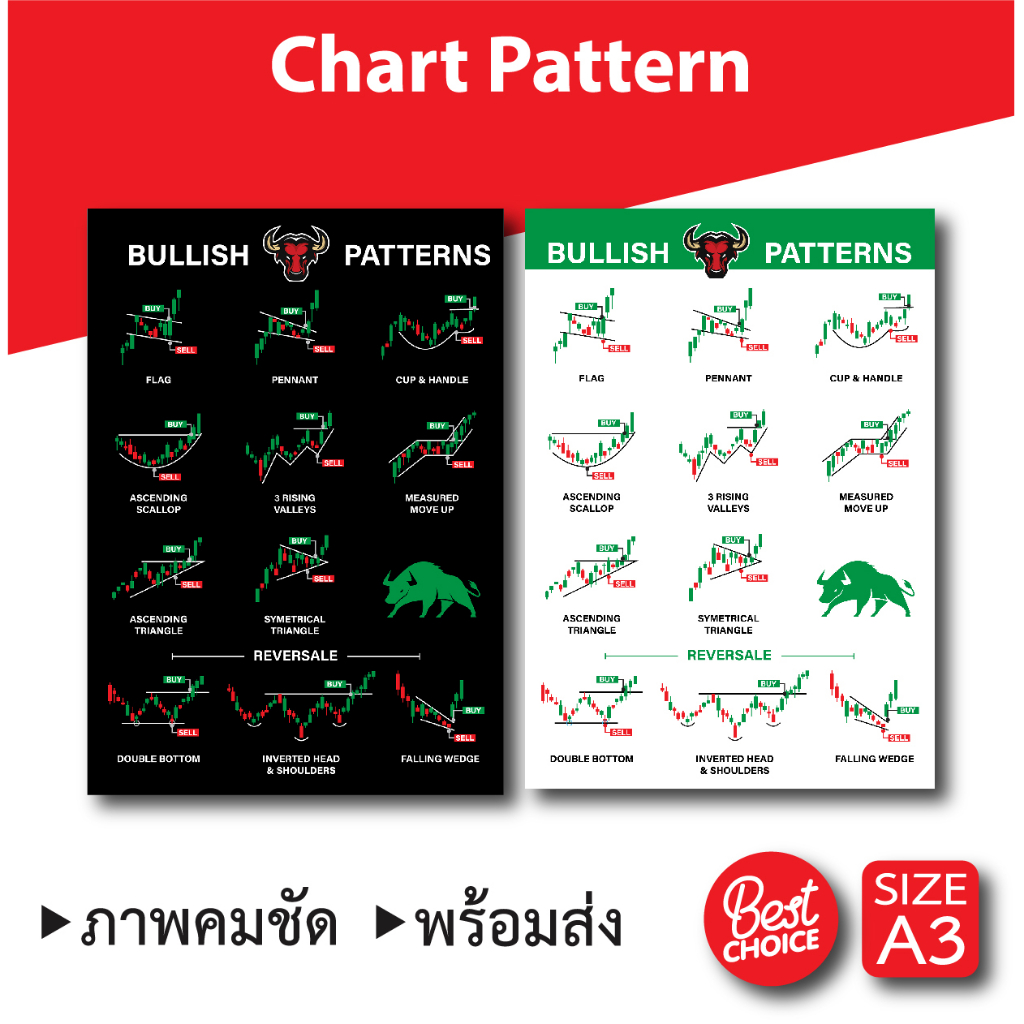 โปสเตอร์ หุ้น ชาร์ตแพทเทิร์น (A3) ตลาดกระทิง Bull Chart Pattern กราฟ ...