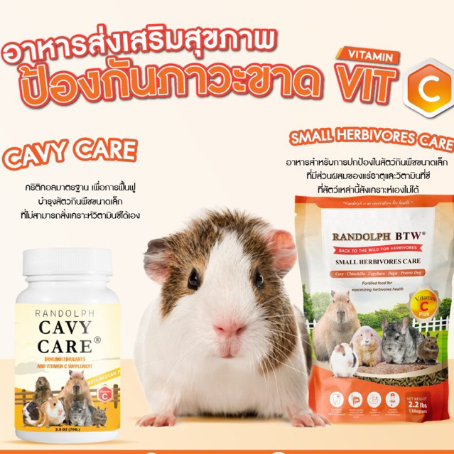 cavy-care-วิตามินซี-randolph-อาหารเสริมแก๊สบี้