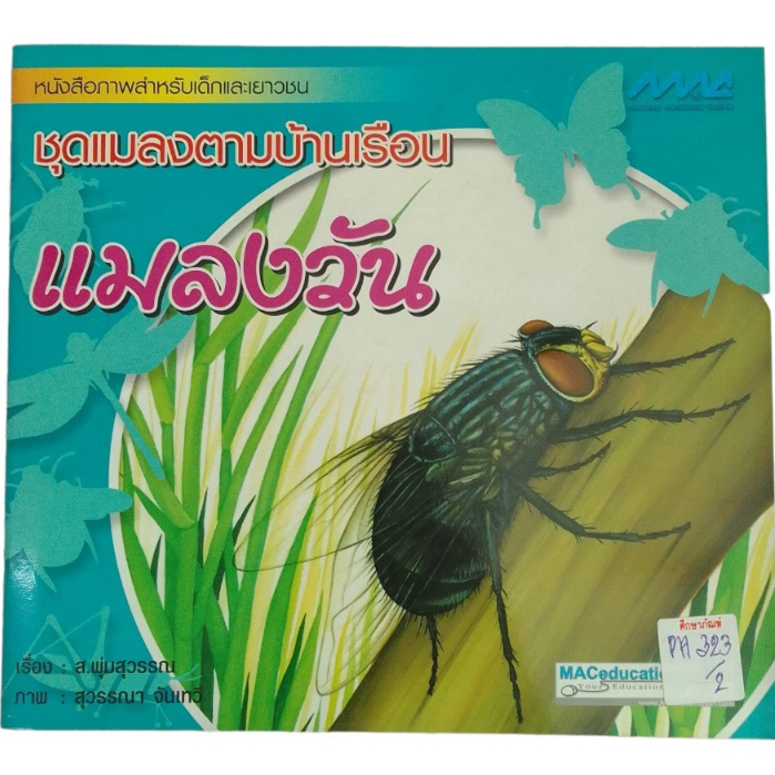 หนังสือภาพสำหรับเด็กแล้วเยาวชน-ชุดแมลงตามบ้านเรือน-แมลงวัน