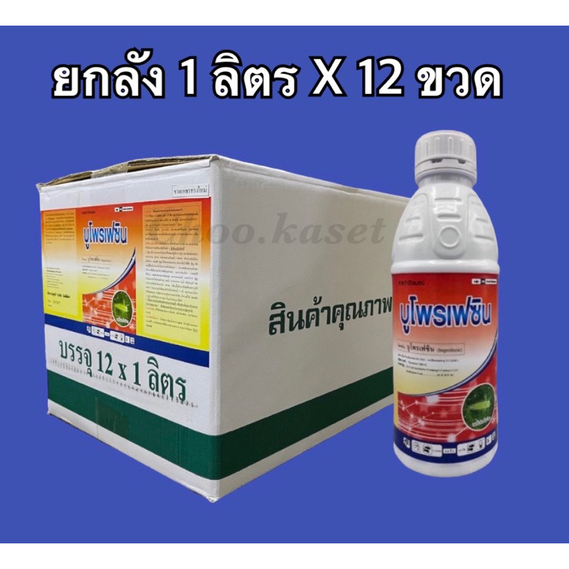 บูโพรเฟซิน-40-sc-กำจัดตัวอ่อนเพลี้ย-เพลี้ยกระโดดสีน้ำตาล-กำจัดไข่-เพลี้ยไฟ-เพลี้ยอ่อน-แมลงหวี่ขาว