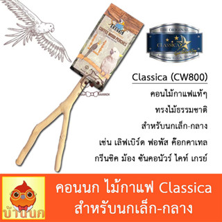 Classica คอนนก ไม้กาแฟ คอนติดกรง 20cm นกแก้ว คอนติดกรง ไม้ธรรมชาติ เลิฟเบิร์ด ฟอพัส ซัน ค๊อกคาเทล กรีนชิค