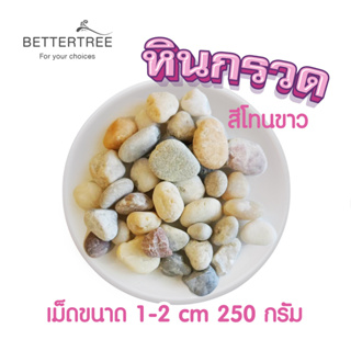 หินกรวดสีโทนขาว 250 g หินประดับตกแต่ง  หินใส่กระถางเล็กๆ หินแม่น้ำ หินใส่แจกัน หินตกแต่งสวนถาด หิน หินสี  ต้นไม้