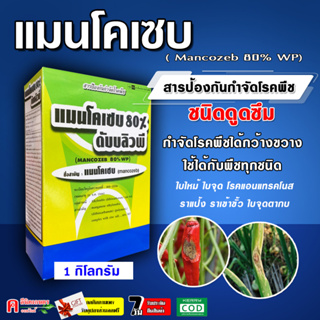 แมนโคเซบ (mancozeb)( 1 กิโลกรัม ) แมนโคเซป-สีเหลือง สารป้องกันและกำจัดเชื้อรา โรคพืชต่าง ๆ ได้มากมาย มีความคงตัว