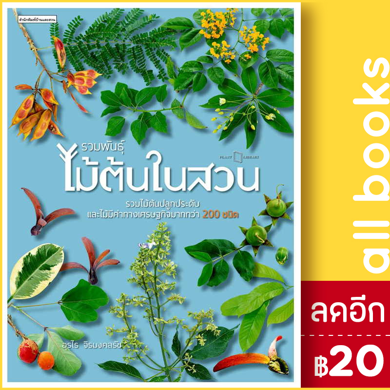 รวมพันธุ์ไม้ต้นในสวน-บ้านและสวน-อุรไร-จิรมงคลรัช