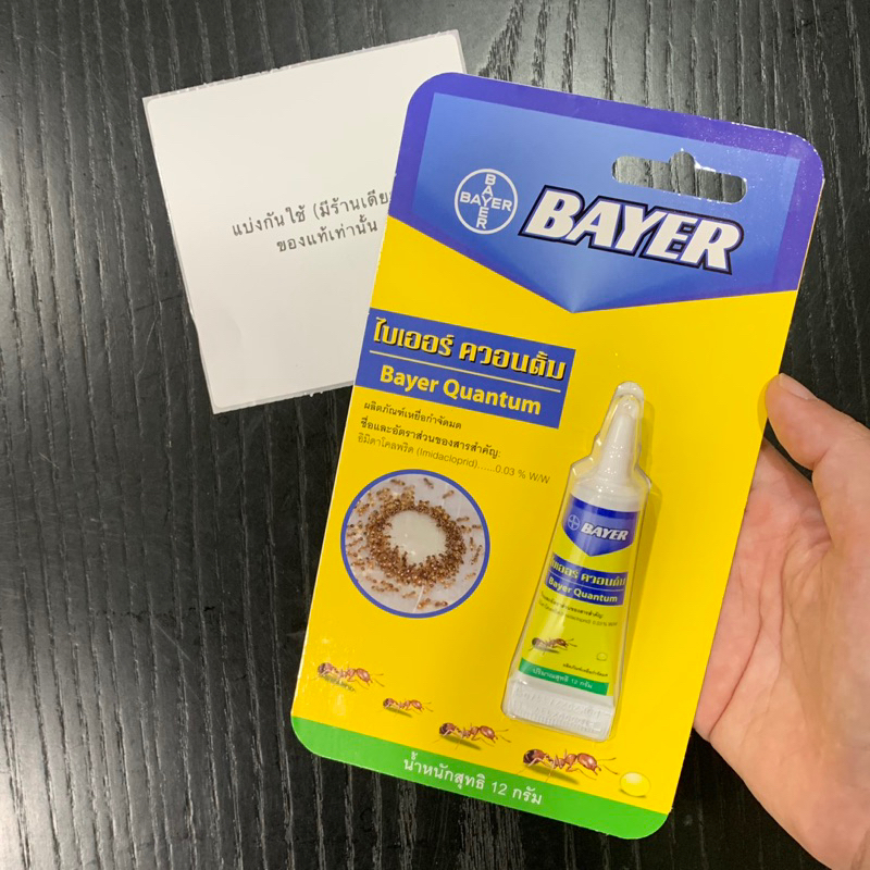 bayer-quantum-เจลกำจัดมด-amp-blattanex-เจลกำจัดแมลงสาบ-12g