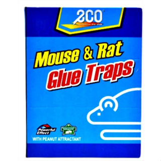 10 Packs Mouse & Rat Glue Traps