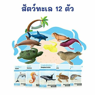 ชุดโมเดลสัตว์ทะเล 12 ตัว + การ์ดกิจกรรม 16 ใบ สัตว์ทะเล Sea Animals 2WINBOOKTOYS