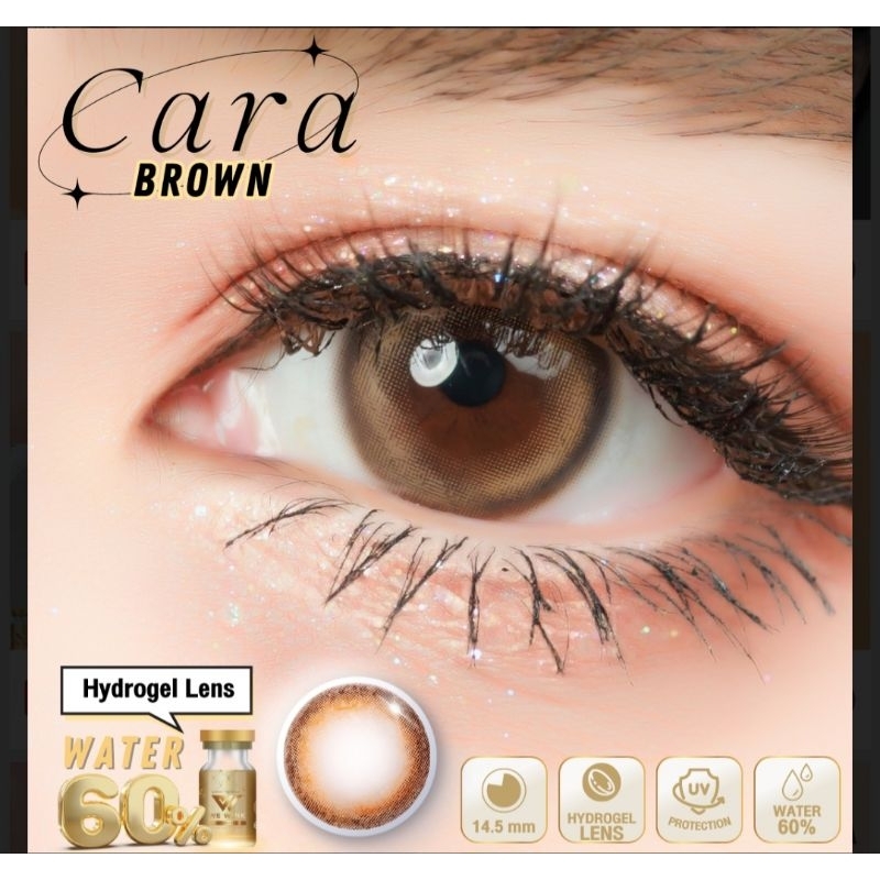 คอนแทคเลนส์-วี-วิ้งค์-ฝาทอง-cara-brown-ค่าอมน้ำ-60-สายตาปกติ-0-00-we-wink