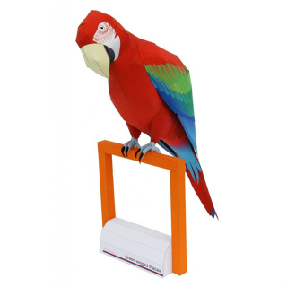 โมเดลกระดาษ 3D : Green-winged Macaw กรีนวิงค์ มาคอว์ กระดาษโฟโต้เนื้อด้าน  กันละอองน้ำ ขนาด A4 220g.